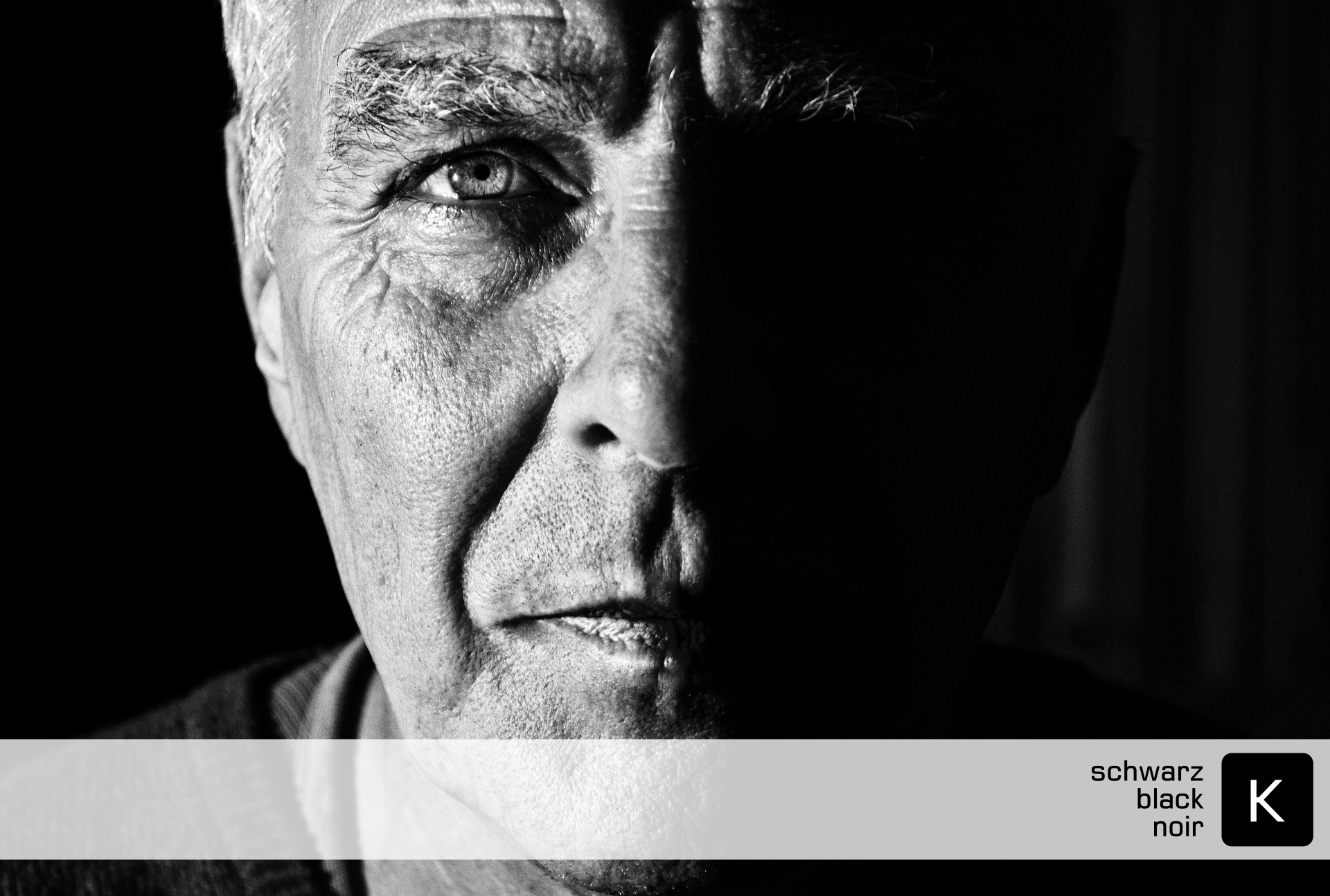 Alternativ zu Canon CLI-521BK / 2933B001 Tinte Photo-Black (2er Set)