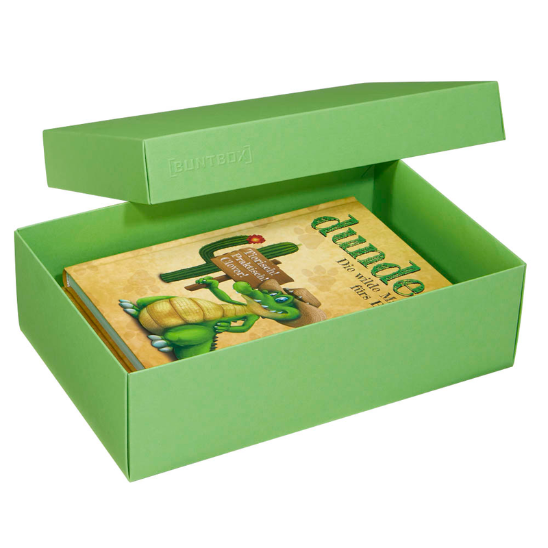 BUNTBOX L Geschenkboxen 3,6 l grün 26,6 x 17,2 x 7,8 cm, 2 St.