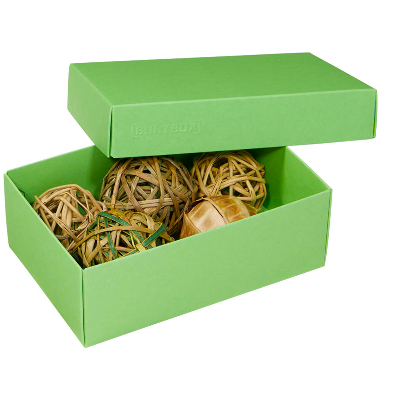 BUNTBOX M Geschenkboxen 1,1 l grün 17,0 x 11,0 x 6,0 cm, 3 St.