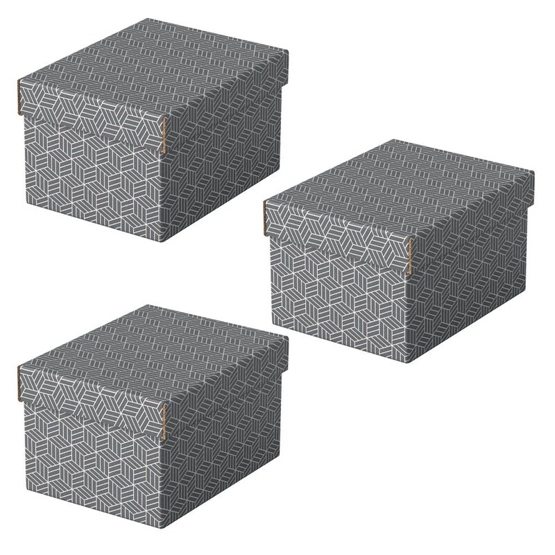 Esselte Home Aufbewahrungsboxen 6,5 l grau 20,0 x 25,5 x 15,0 cm, 3 St.
