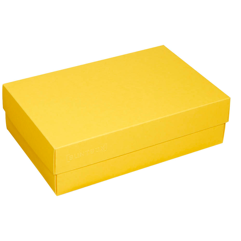 BUNTBOX L Geschenkboxen 3,6 l gelb 26,6 x 17,2 x 7,8 cm, 2 St.
