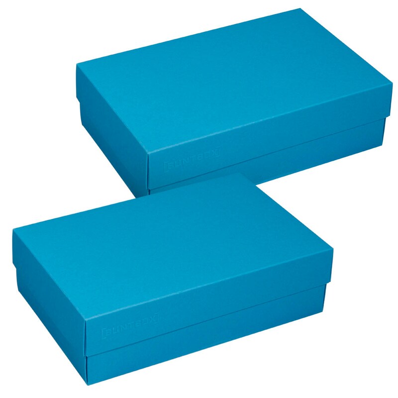 BUNTBOX L Geschenkboxen 3,6 l blau 26,6 x 17,2 x 7,8 cm, 2 St.