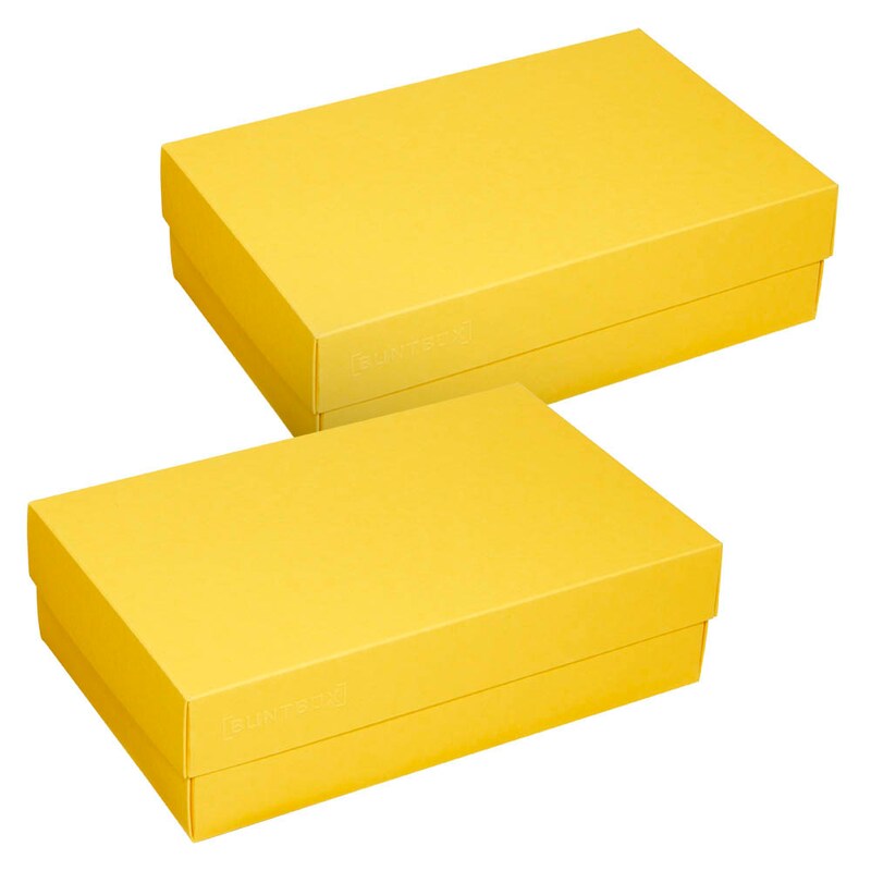 BUNTBOX L Geschenkboxen 3,6 l gelb 26,6 x 17,2 x 7,8 cm, 2 St.