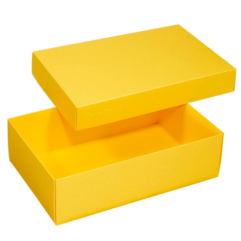 BUNTBOX L Geschenkboxen 3,6 l gelb 26,6 x 17,2 x 7,8 cm, 2 St.