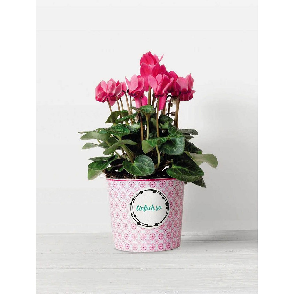 Trodat Vintage Motivstempelset Glückwünsche (43 x 15 mm)