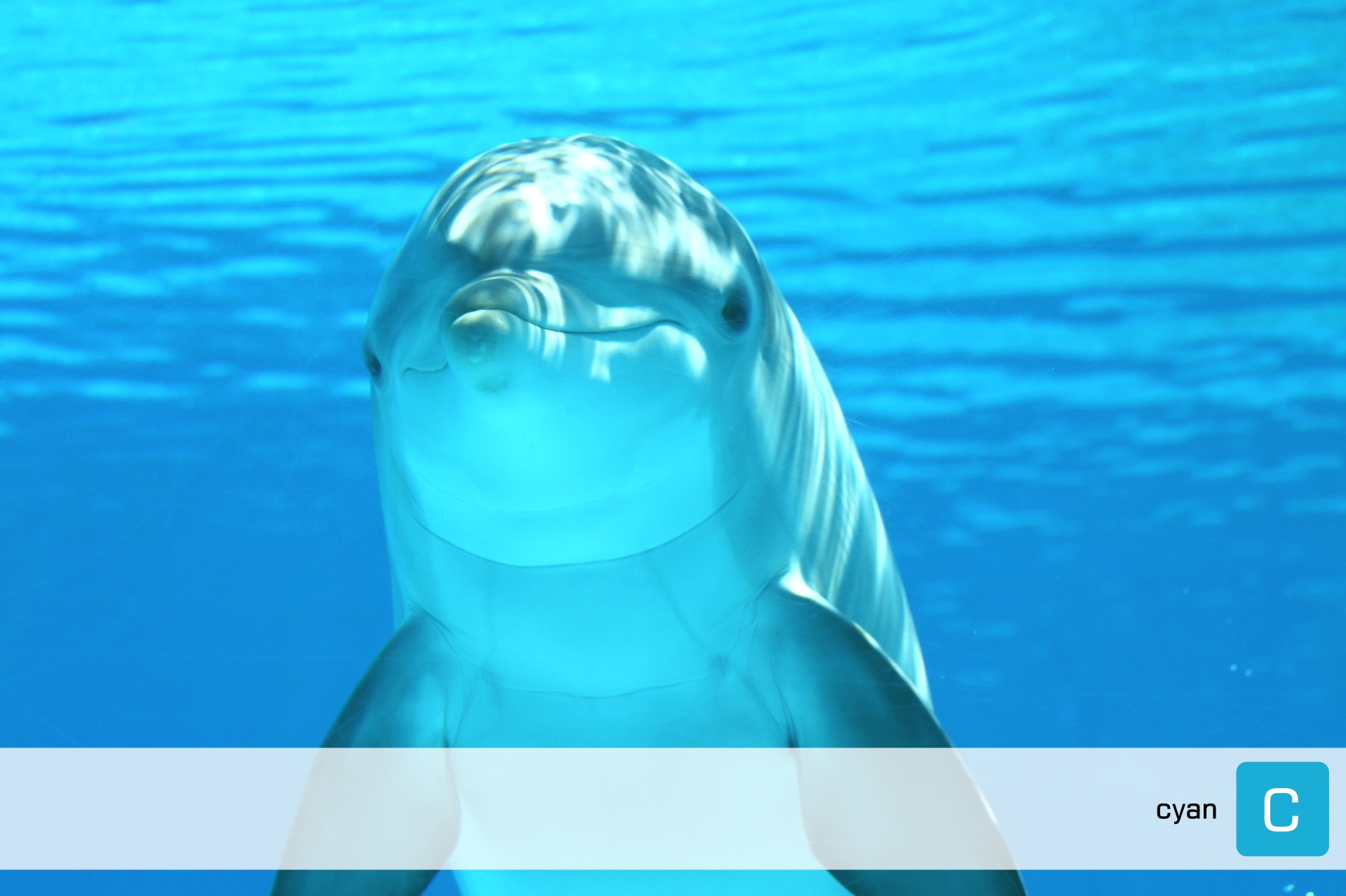 Lexmark 80C2HC0 / 802HC Toner Cyan