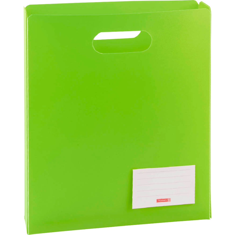 BRUNNEN Heftbox FACT!pp 5 cm grün, 1 St.