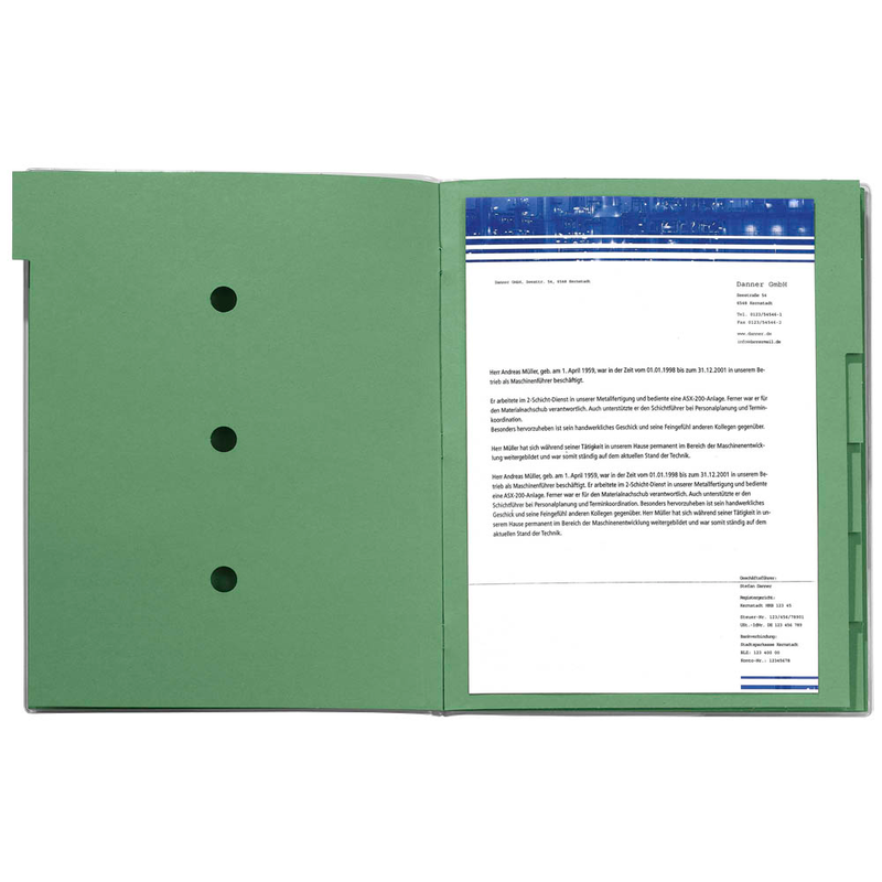 bene Ordnungsmappe 6 Fächer grün, 1 St.