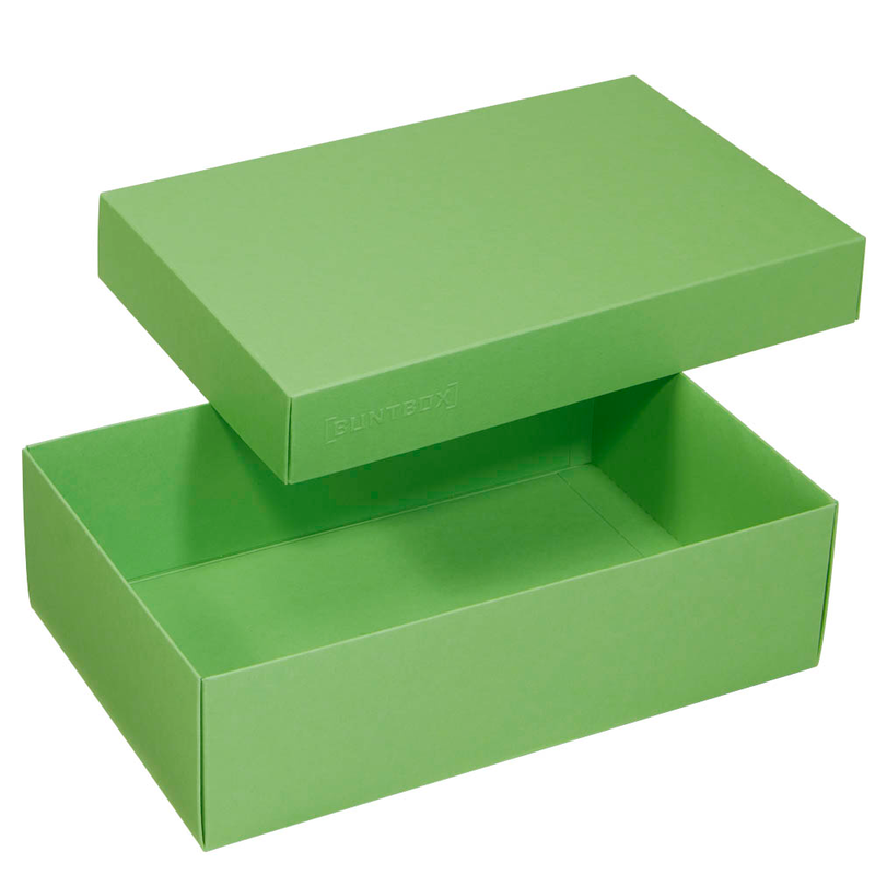 BUNTBOX L Geschenkboxen 3,6 l grün 26,6 x 17,2 x 7,8 cm, 2 St.