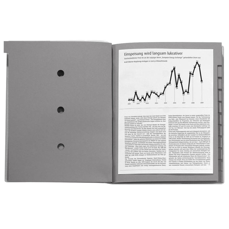 bene Ordnungsmappe 12 Fächer grau, 1 St.