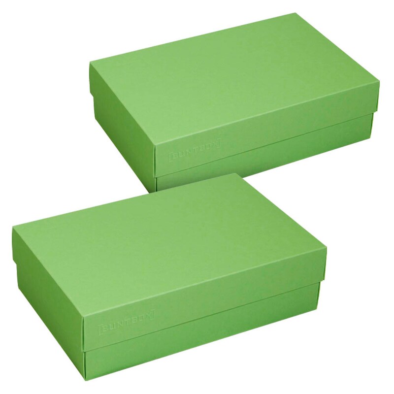 BUNTBOX L Geschenkboxen 3,6 l grün 26,6 x 17,2 x 7,8 cm, 2 St.