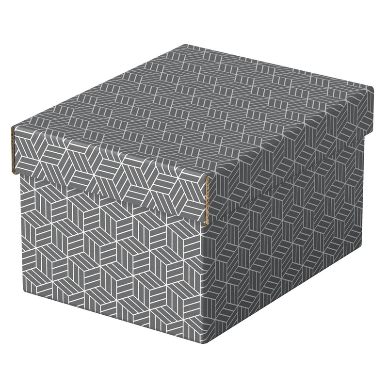 Esselte Home Aufbewahrungsboxen 6,5 l grau 20,0 x 25,5 x 15,0 cm, 3 St.
