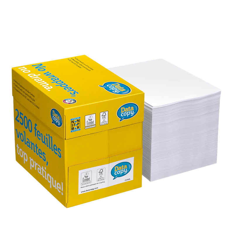 Data copy Kopierpapier Everyday Printing DIN A4 80 g/qm 2.500 Blatt Maxi-Box