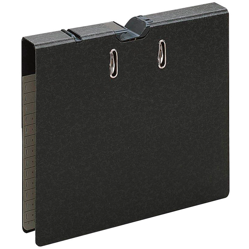 LEITZ Pendelordner 180° Hängeordner 5,0 cm, 1 St.