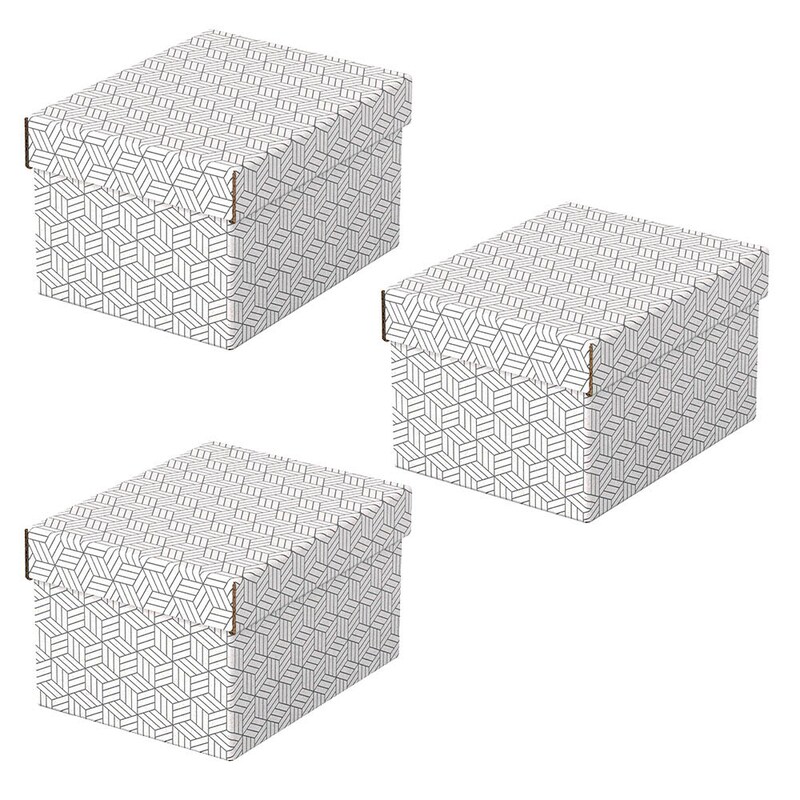 Esselte Home Aufbewahrungsboxen 6,5 l weiß 20,0 x 25,5 x 15,0 cm, 3 St.