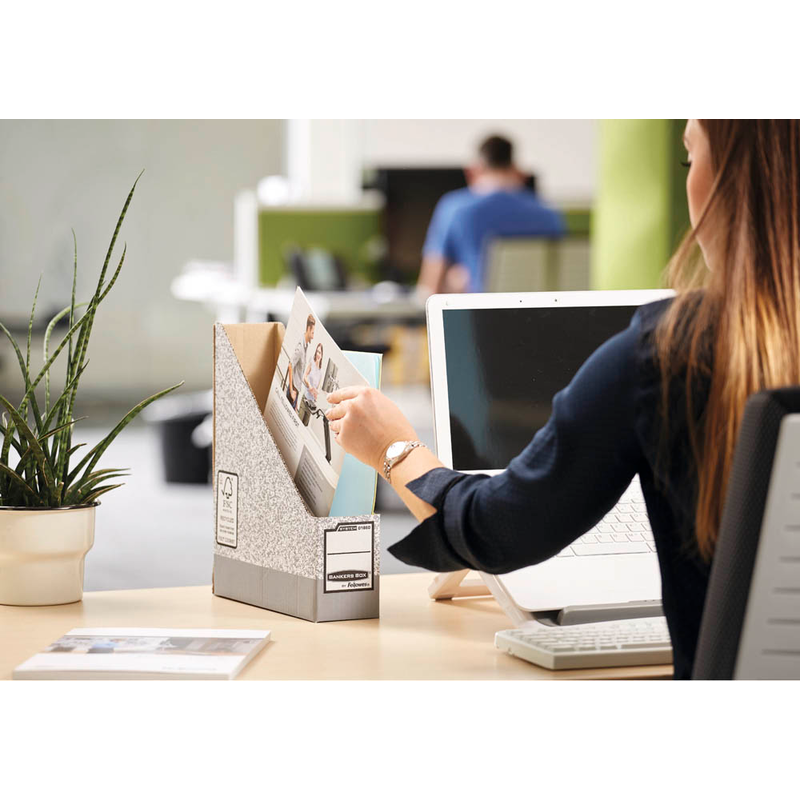 Bankers Box Archiv-Stehsammler grau, 10 St.