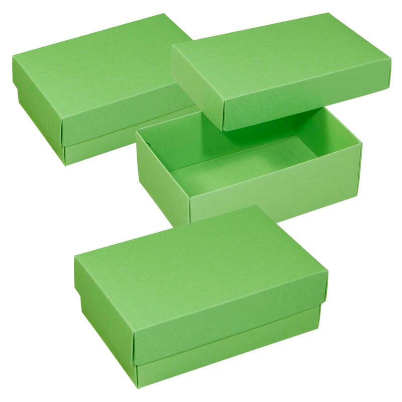 BUNTBOX M Geschenkboxen 1,1 l grün 17,0 x 11,0 x 6,0 cm, 3 St.