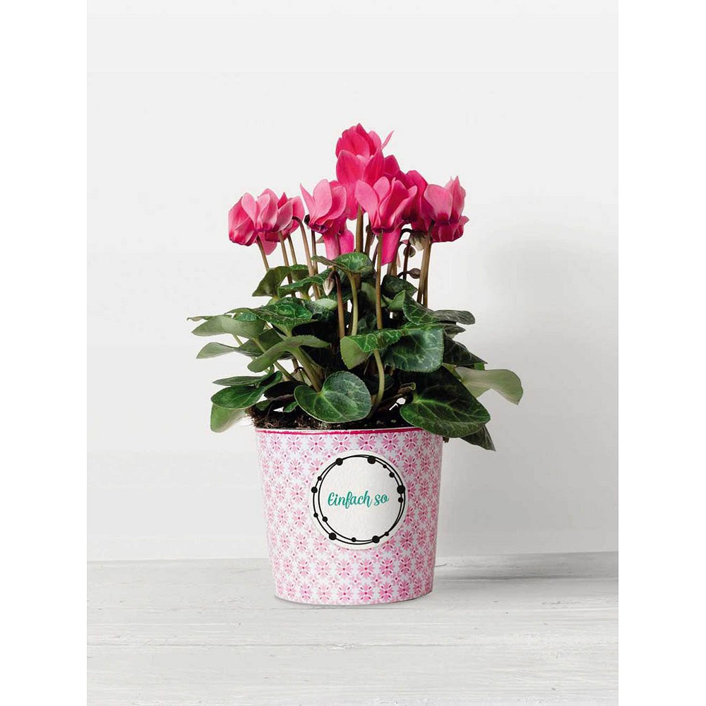 Trodat Aufkleber mit verschiedenen Motiven (36 Stück)