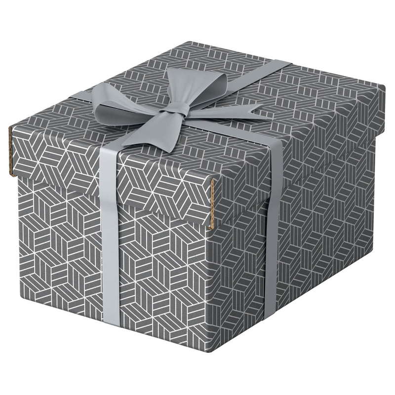 Esselte Home Aufbewahrungsboxen 6,5 l grau 20,0 x 25,5 x 15,0 cm, 3 St.