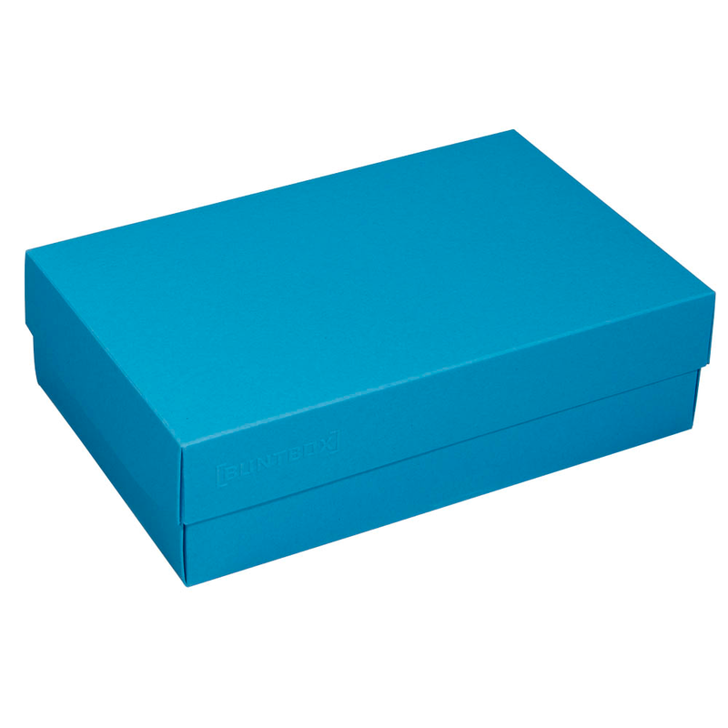 BUNTBOX L Geschenkboxen 3,6 l blau 26,6 x 17,2 x 7,8 cm, 2 St.