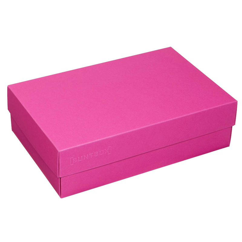 BUNTBOX L Geschenkboxen 3,6 l pink 26,6 x 17,2 x 7,8 cm, 2 St.