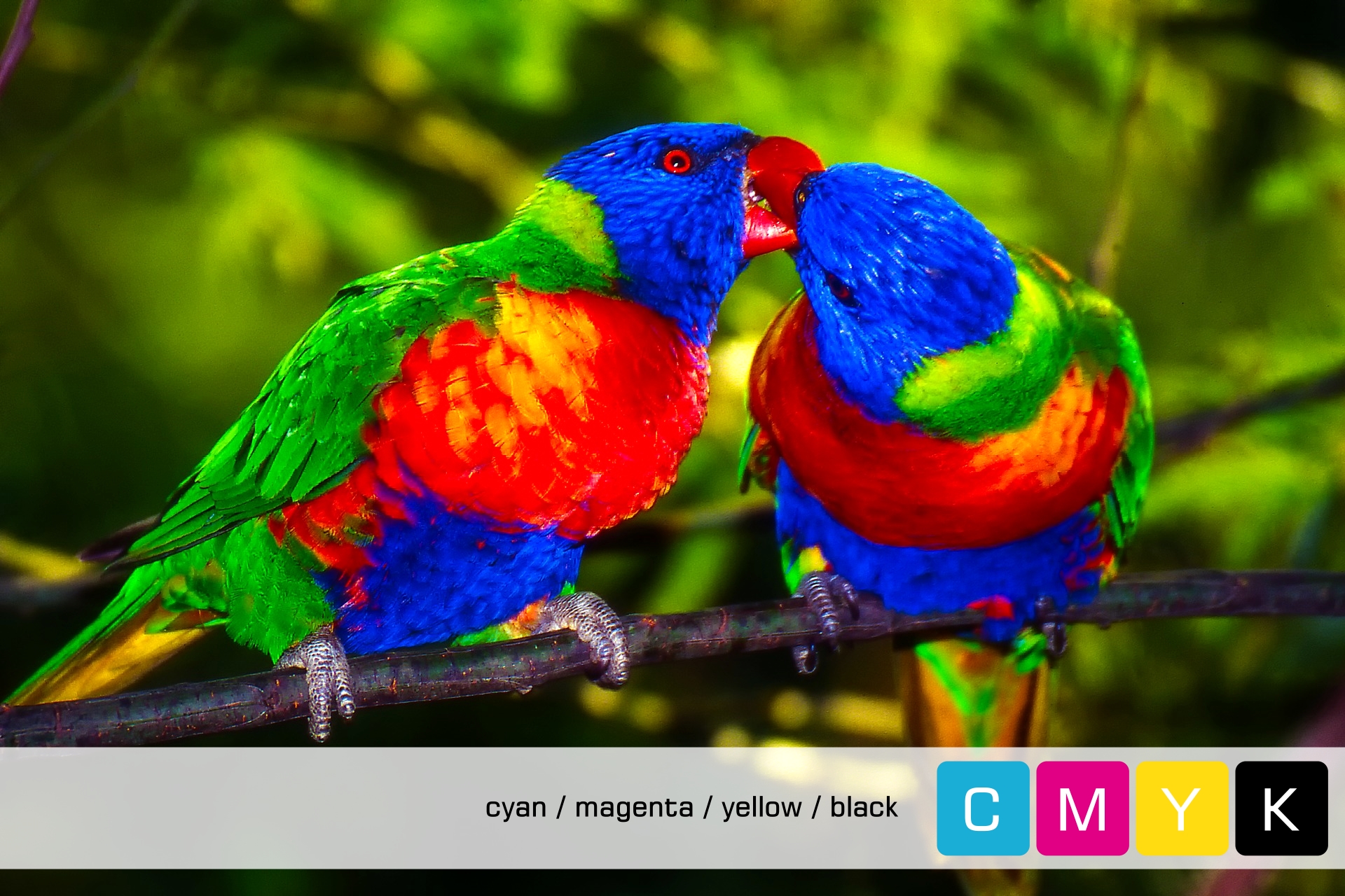 Samsung CLT-P404C / SU365A Toner Multipack CMYK (4er Set)