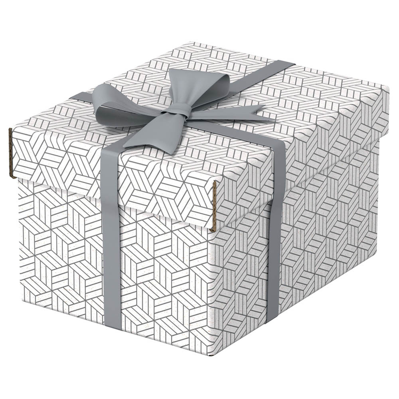 Esselte Home Aufbewahrungsboxen 6,5 l weiß 20,0 x 25,5 x 15,0 cm, 3 St.