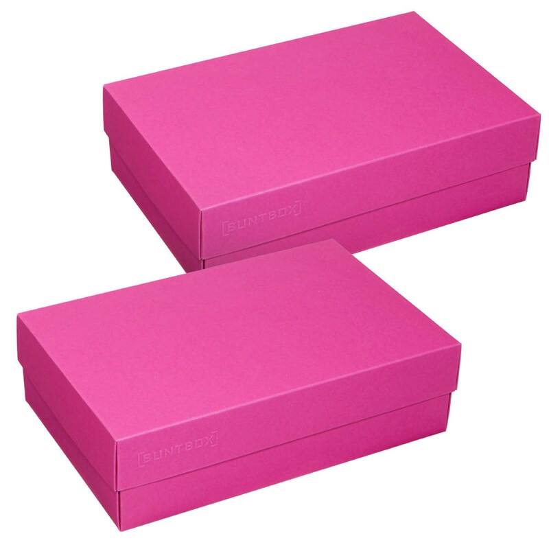 BUNTBOX L Geschenkboxen 3,6 l pink 26,6 x 17,2 x 7,8 cm, 2 St.